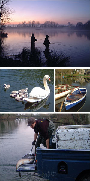 lechlade and bushyleaze re stocking fisheries fishery brown rainbow trout fly fishing