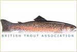 british trout association rainbow lechlade bushyleaze 