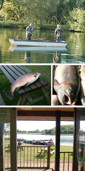 lechlade and bushleaze trout angling fly fishing trout brown rainbow